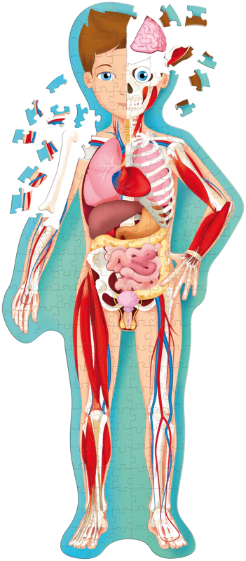 Travel Learn and Explore - Human Body 205 Piece Puzzle & Book - Image 2