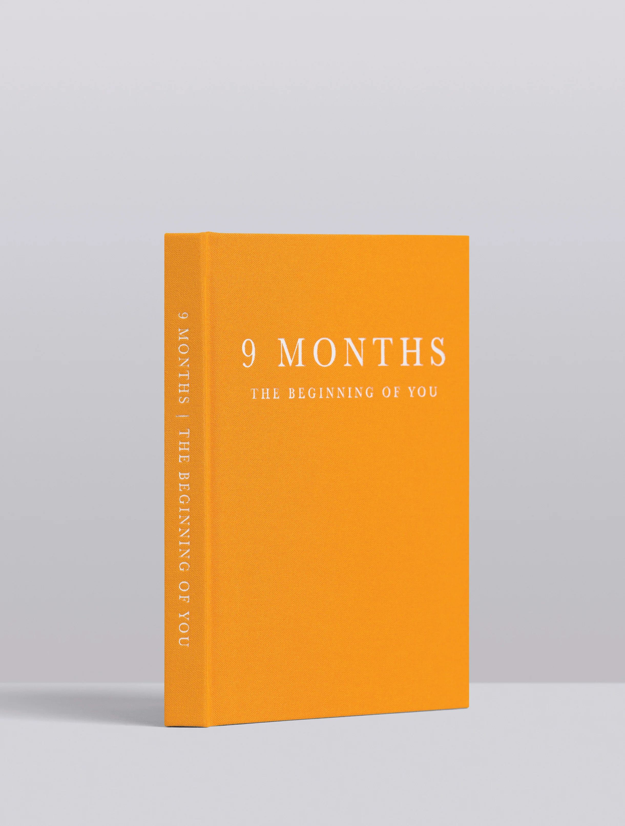 Write To Me - 9 Months - Pregnancy Journal - Image 3