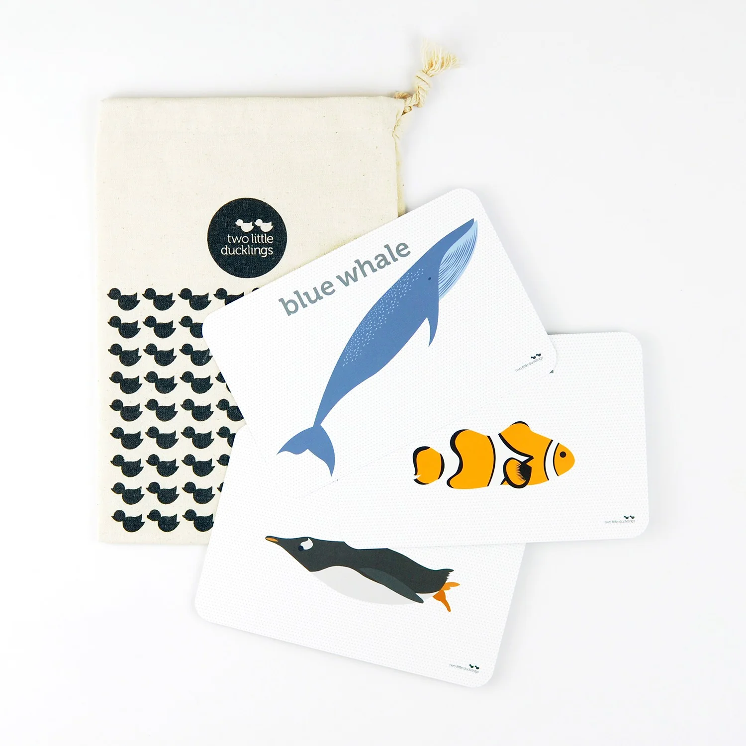 Flash Cards - Sea Life - Image 2