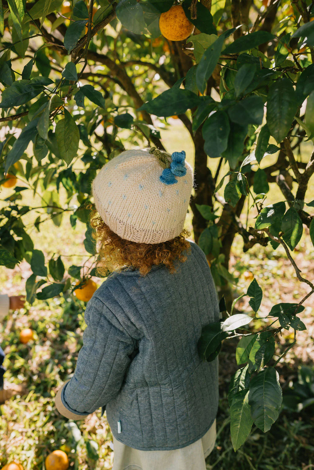 Bluebell Beanie - Image 4
