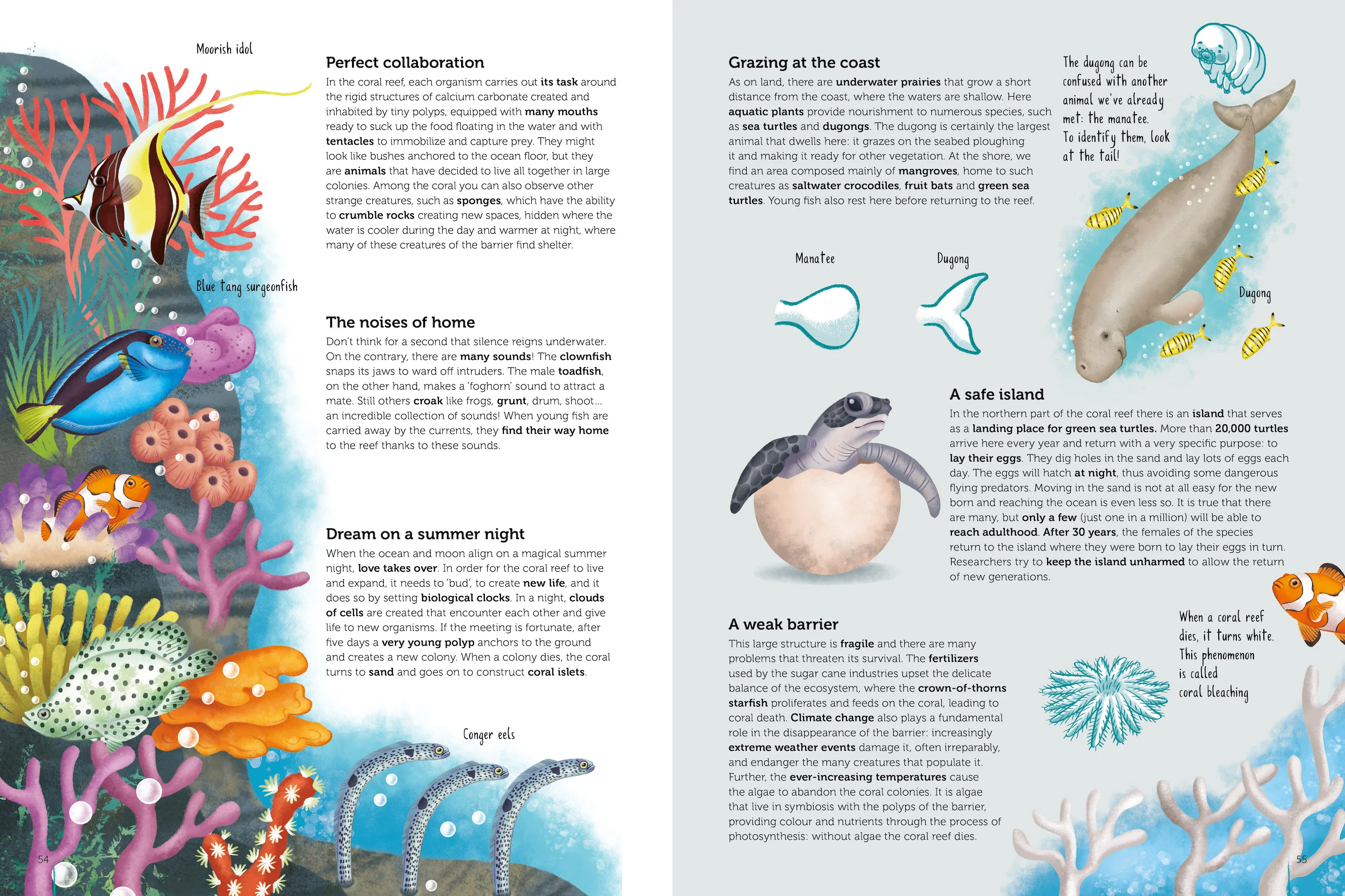 Atlas of Biodiversity - Ecosystems to Protect - Image 6