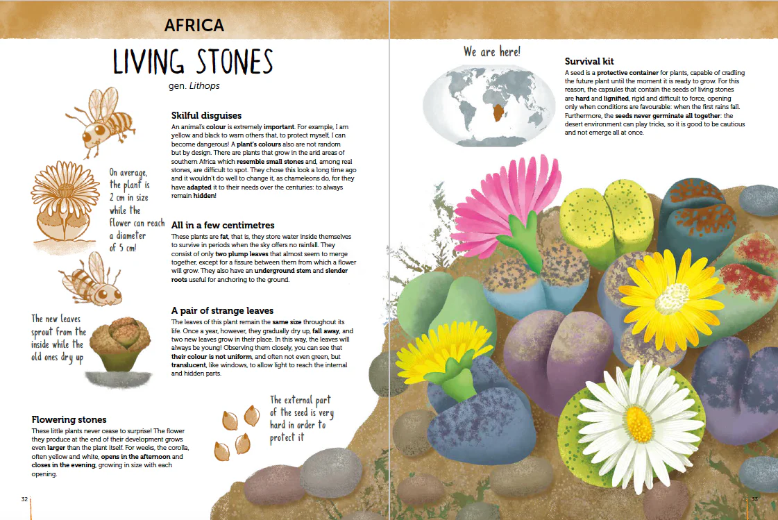 Atlas of Biodiversity - Flora of the World - Image 5