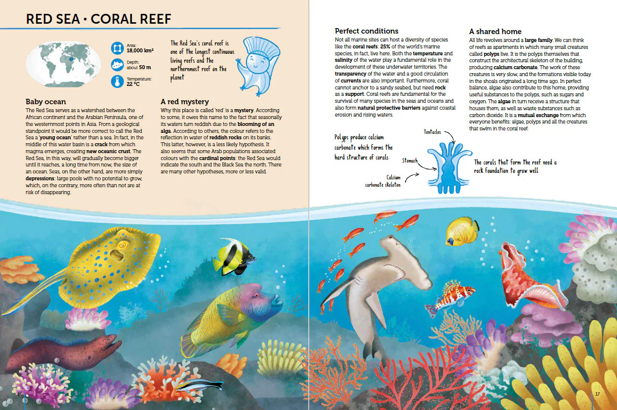 Atlas of Biodiversity - Oceans and Seas - Image 6