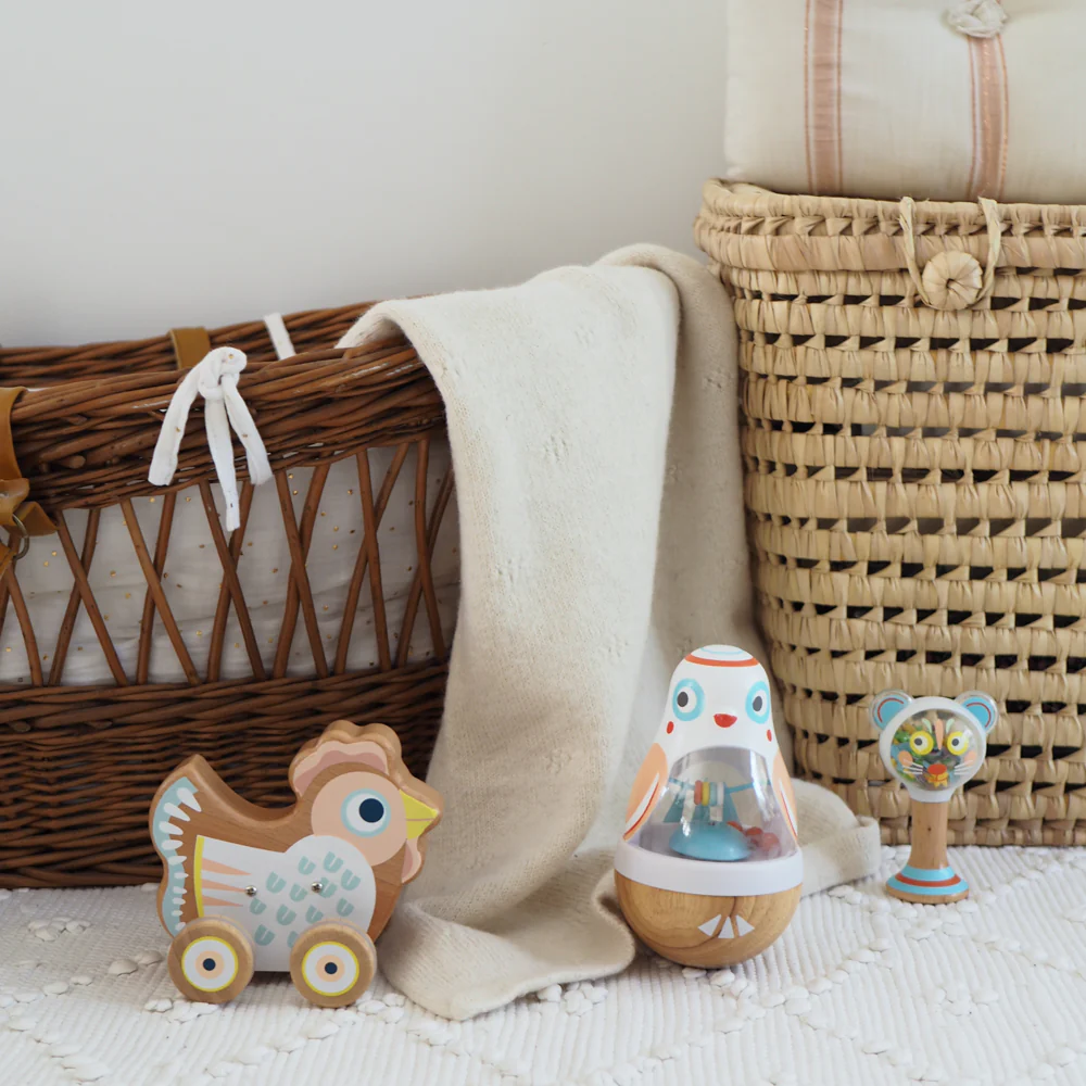 BabySing Hen on Wheels - Image 4