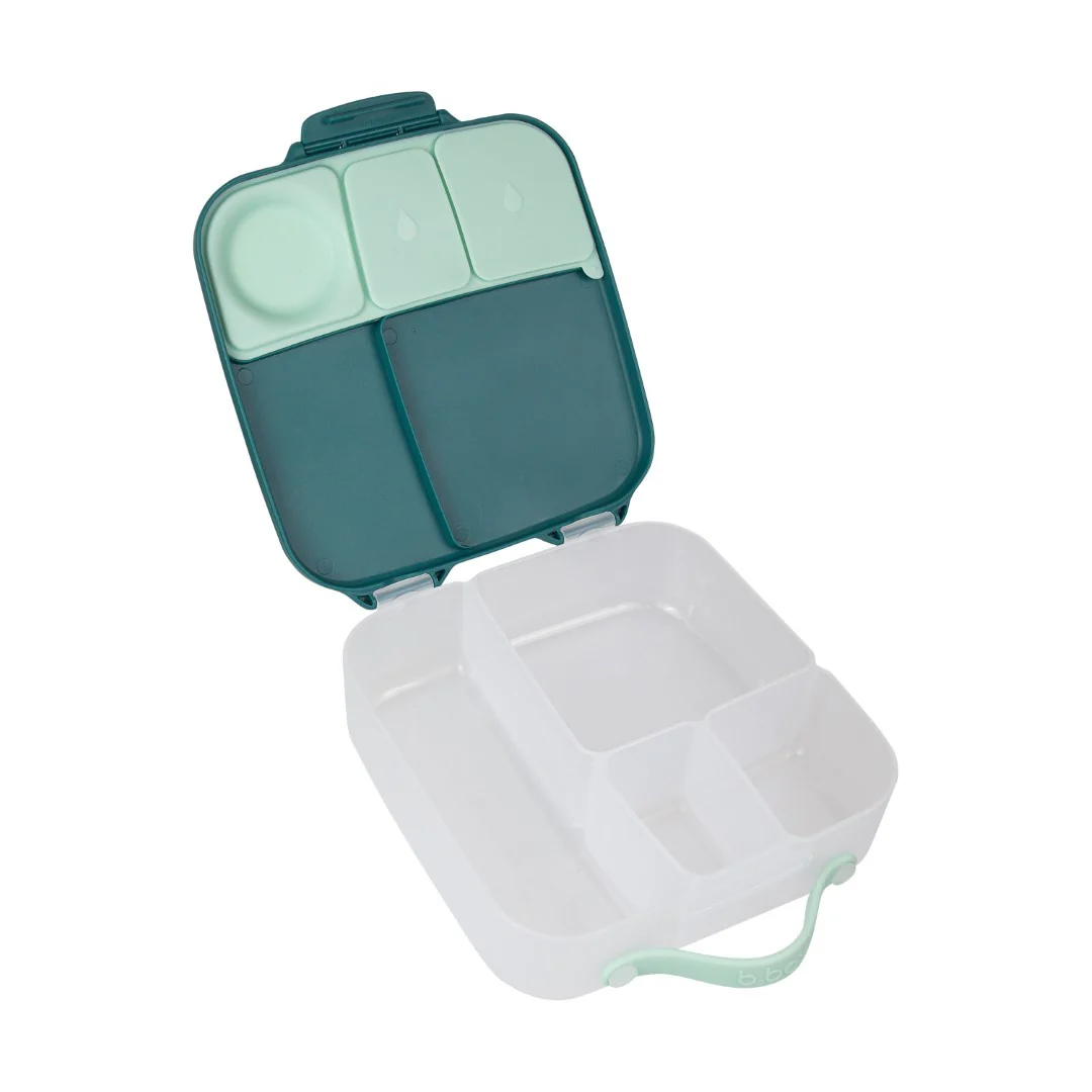 Lunchbox - Emerald Forest - Image 7