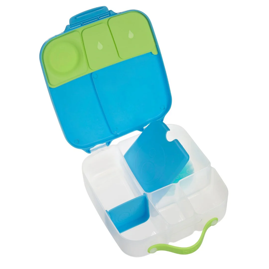 Lunchbox - Ocean Breeze - Image 8