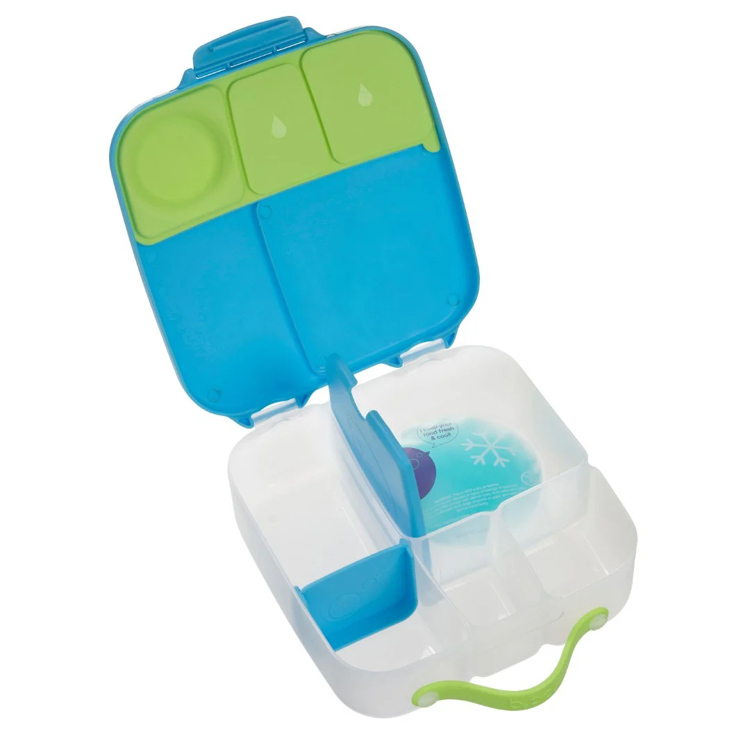 Lunchbox - Ocean Breeze - Image 9