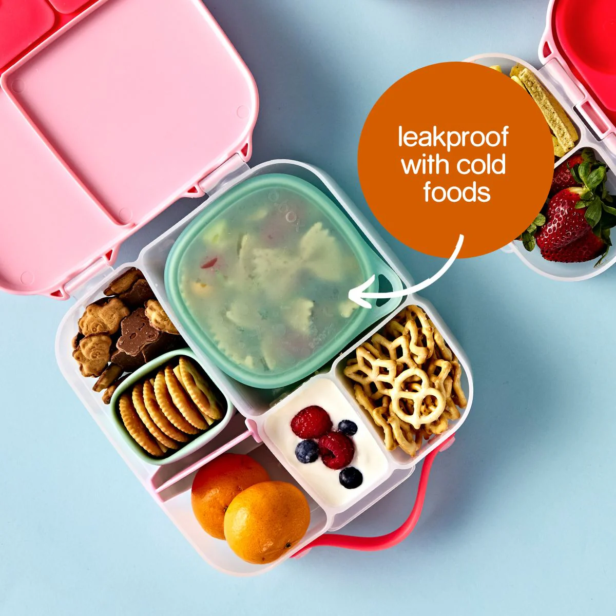 Lunch Tub - Forest - Image 3
