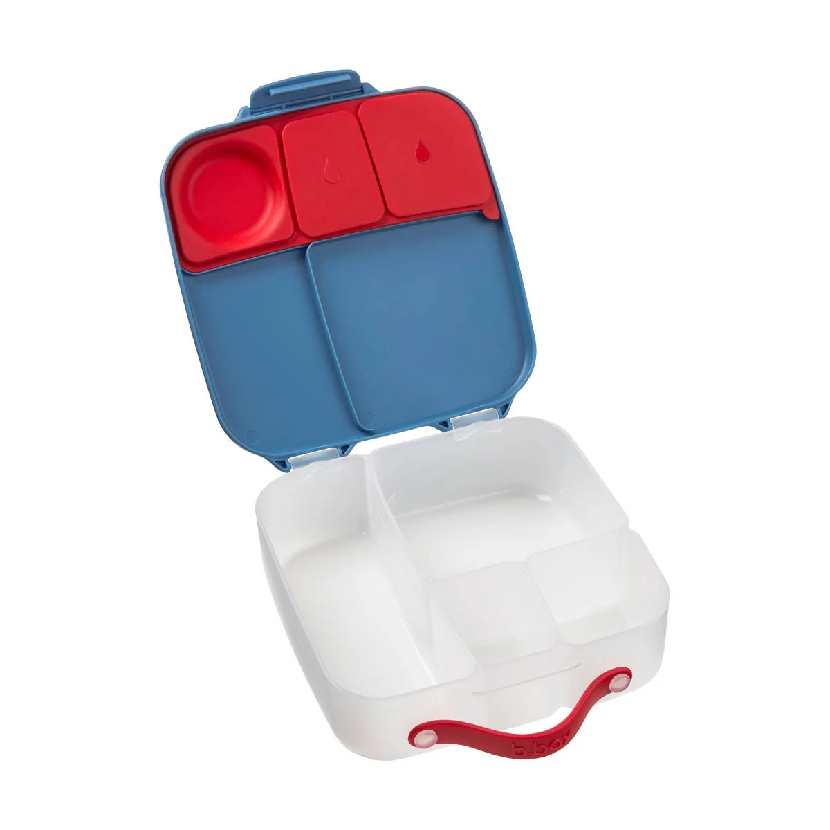 Lunchbox - Blue Blaze - Image 9