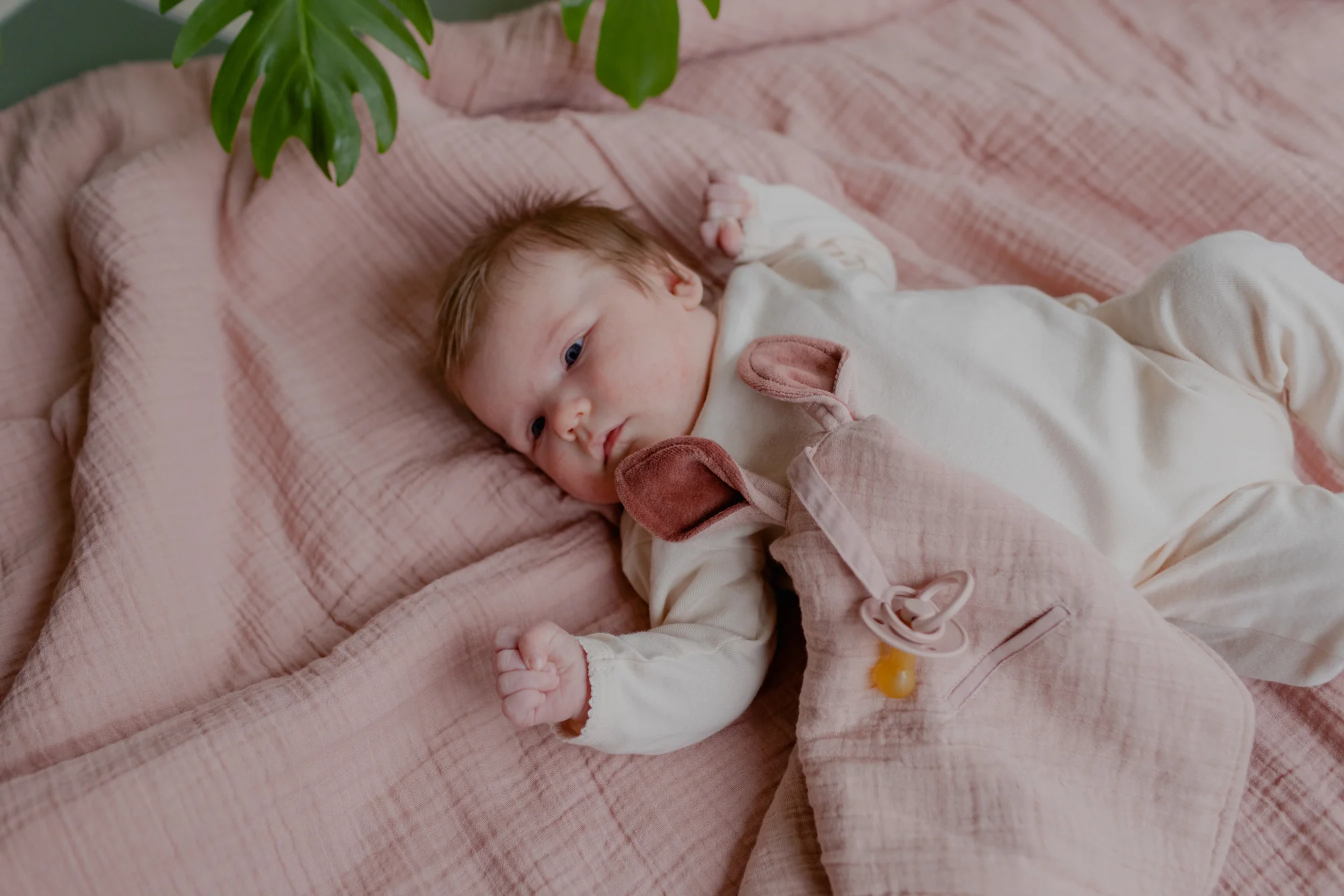 Kangaroo Cuddle Cloth - Blush - Image 3