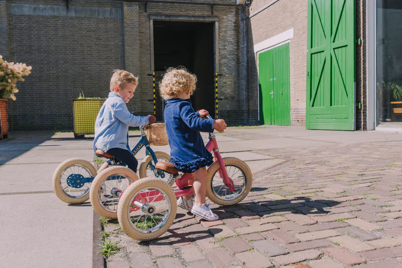 Vintage Trybike - Blue - Image 5