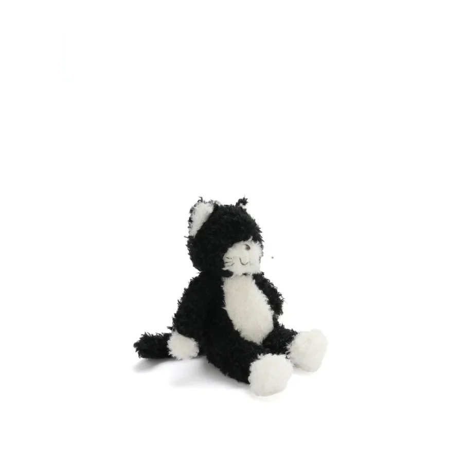 Checkers the Kitten Black