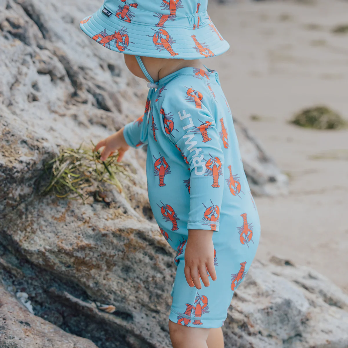 Rash Suit - Little Lobsters - Image 3