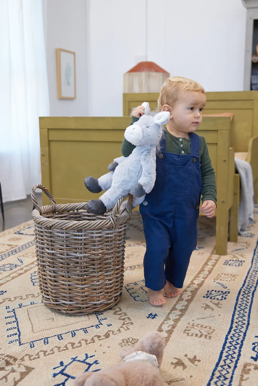 Diego the Donkey - Image 3