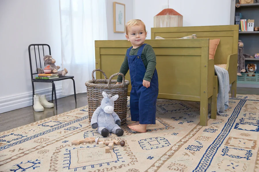 Diego the Donkey - Image 4