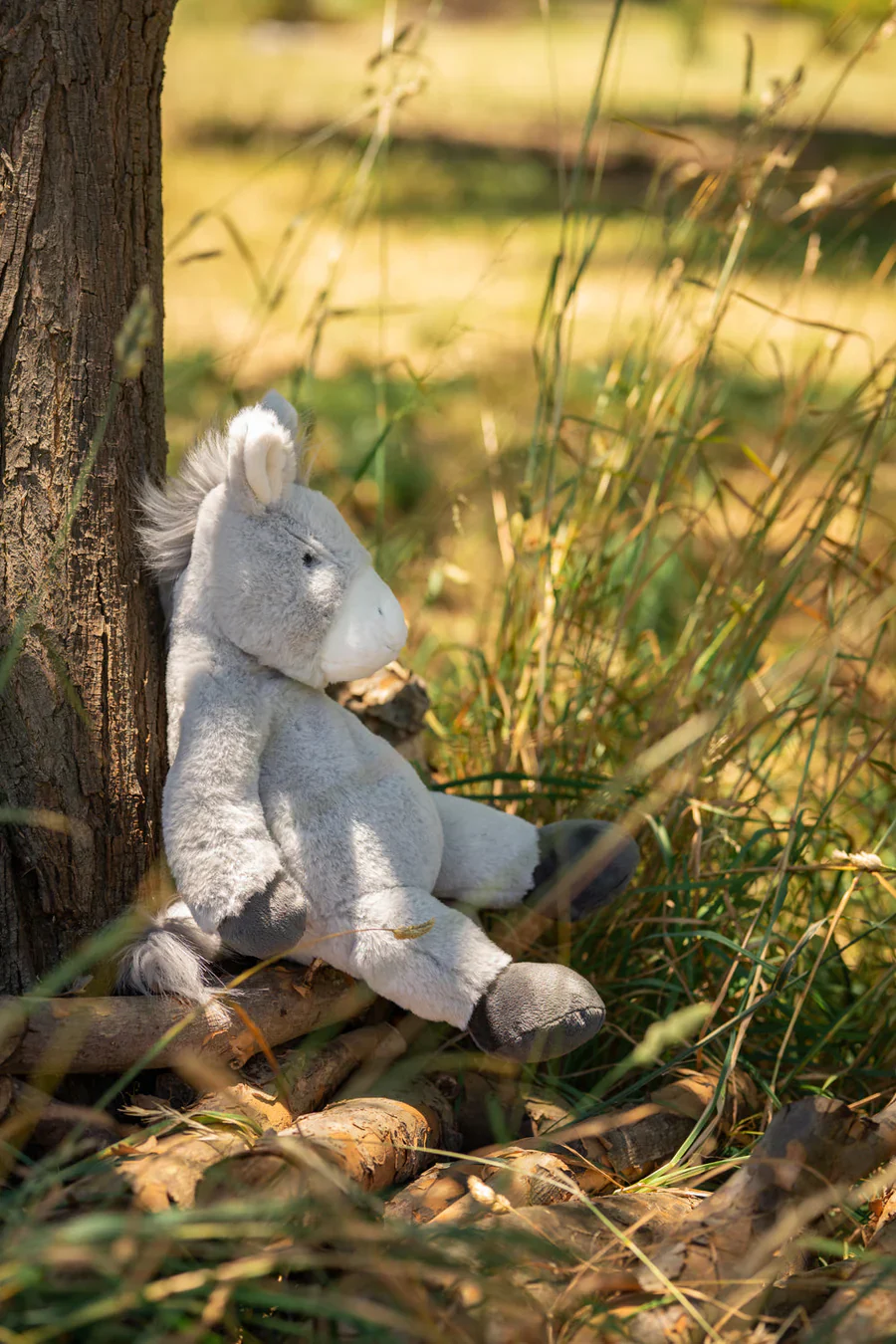 Diego the Donkey - Image 6