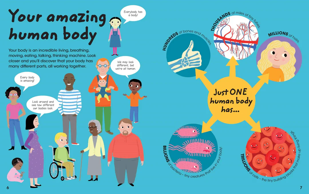Factivity Volume 2 - 128pg Reference - Human Body - Image 2