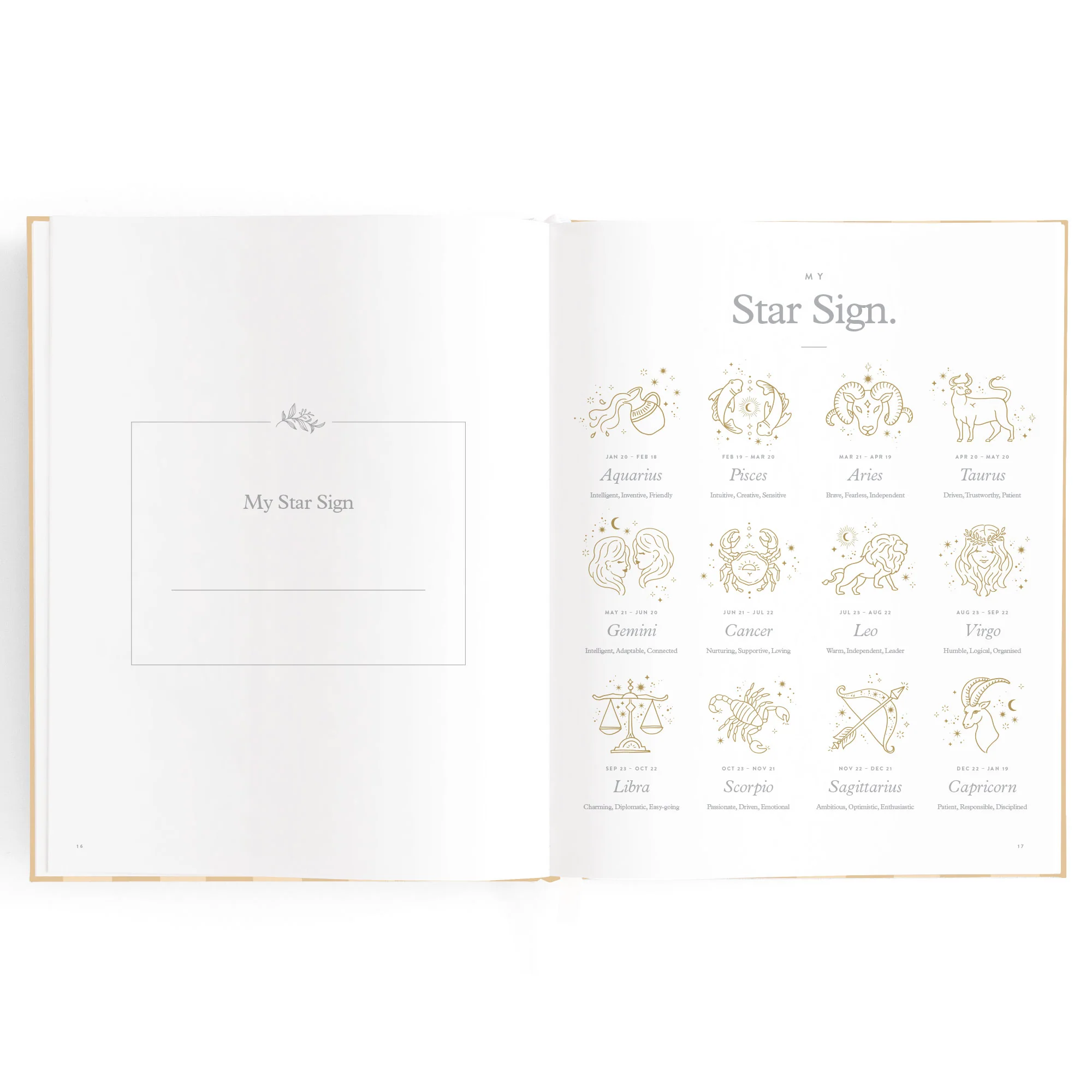 Baby Book - Coffee Stripe - Image 7