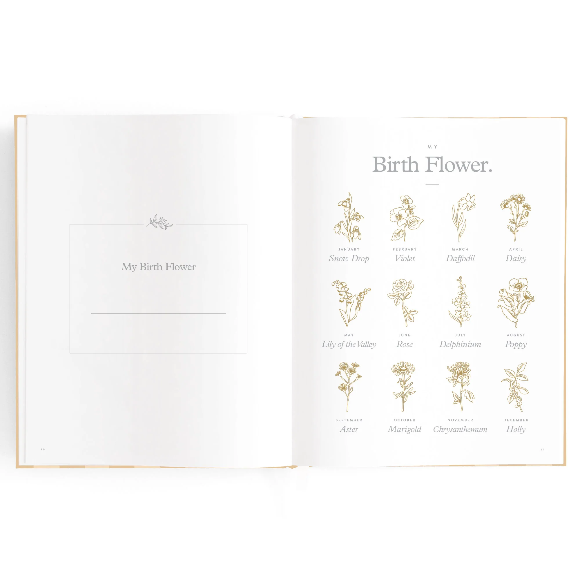 Baby Book - Coffee Stripe - Image 9