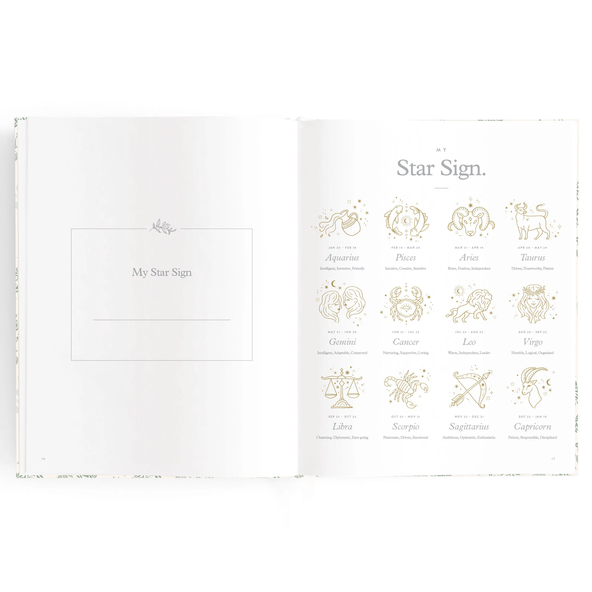 Baby Book - Cypress - Image 7