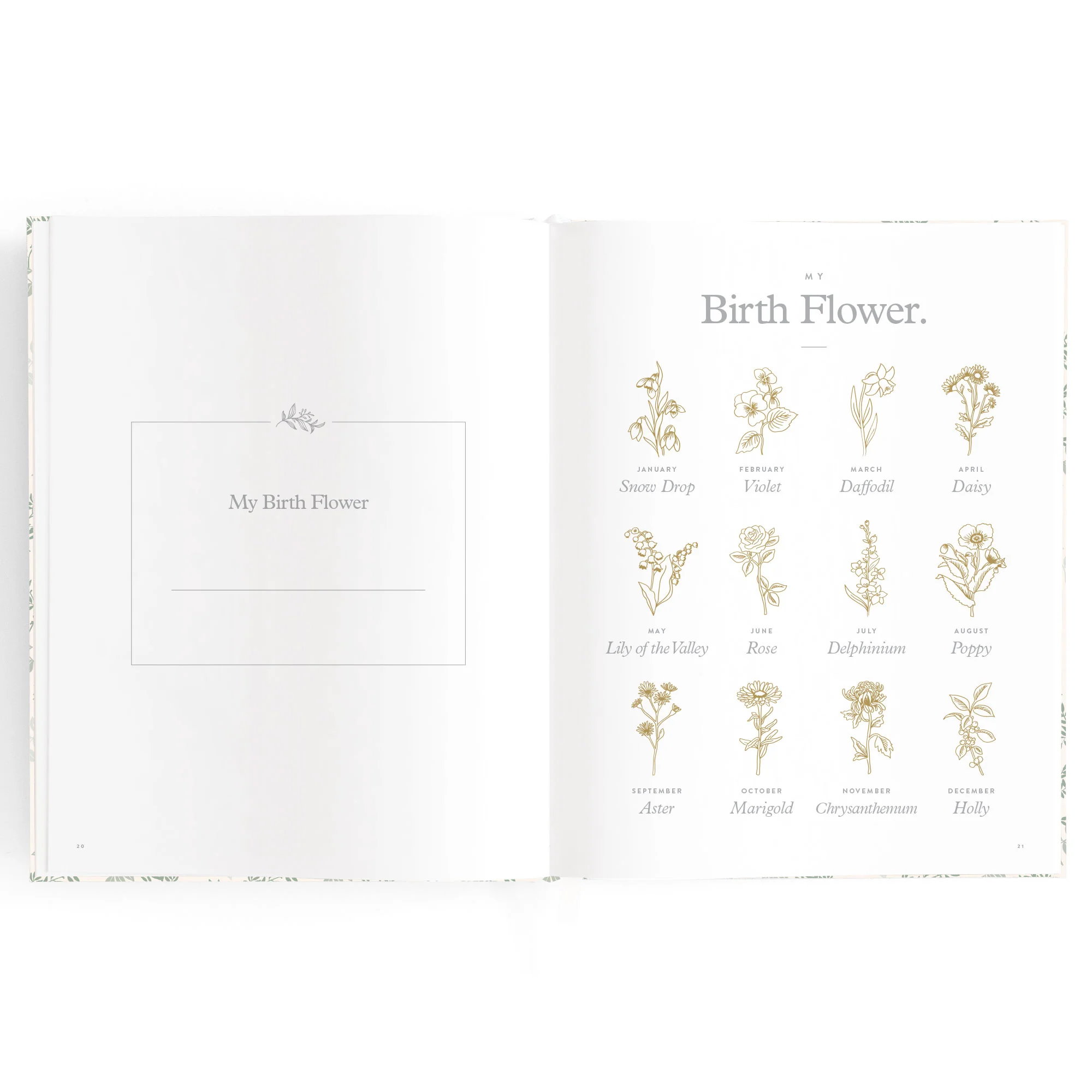 Baby Book - Cypress - Image 9