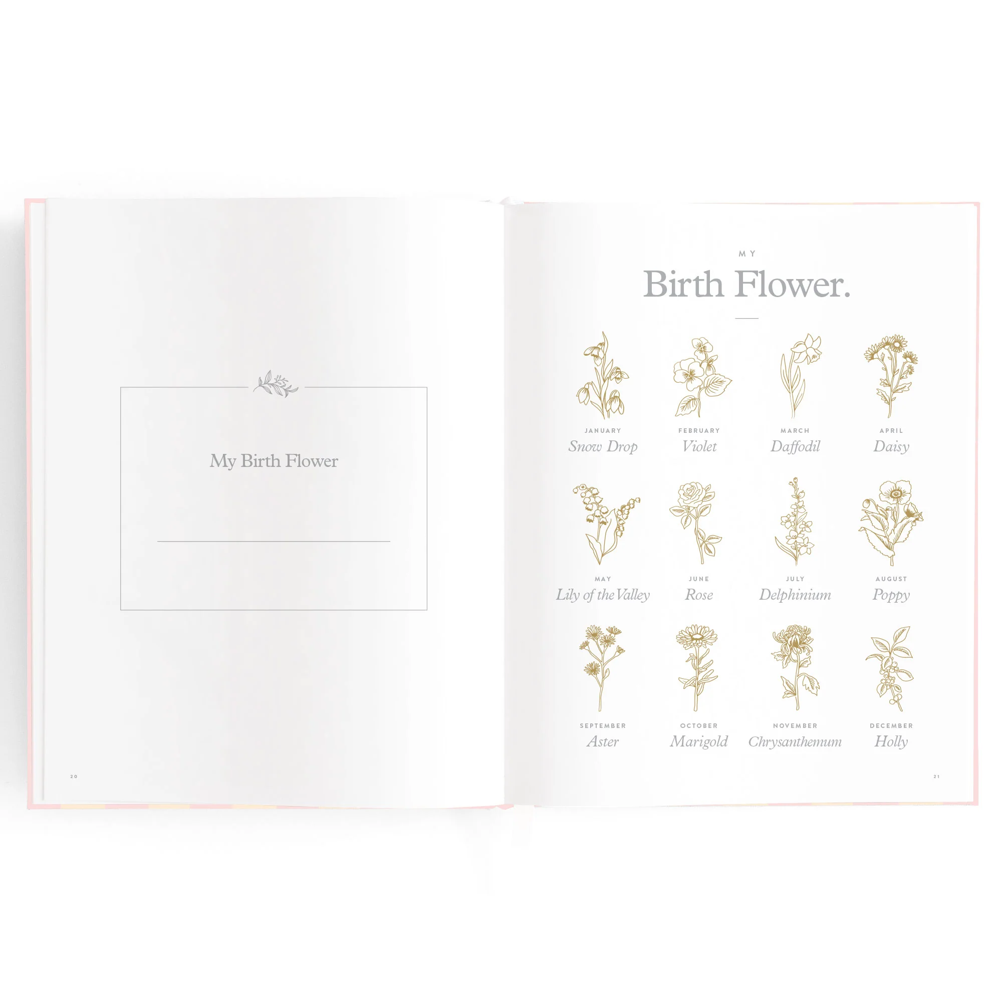 Baby Book - Petal Stripe - Image 11