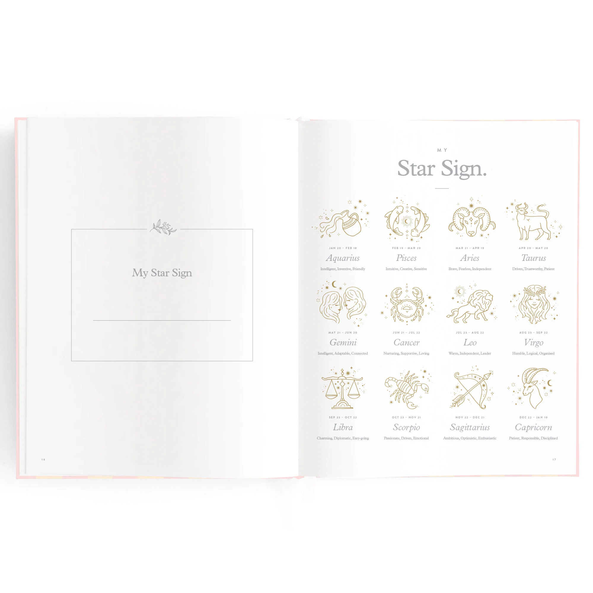 Baby Book - Petal Stripe - Image 9
