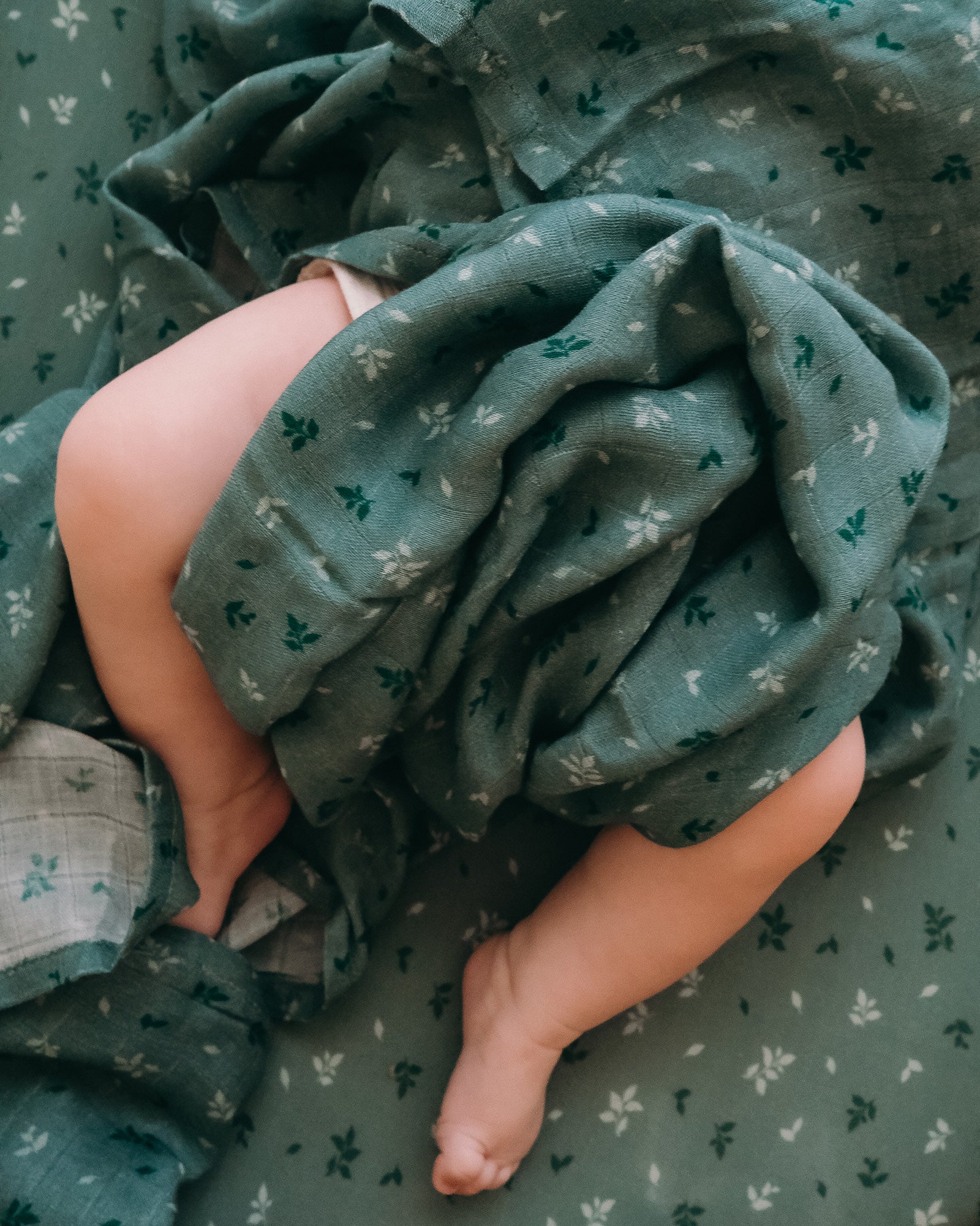 Organic Muslin Wrap - Pine - Image 4