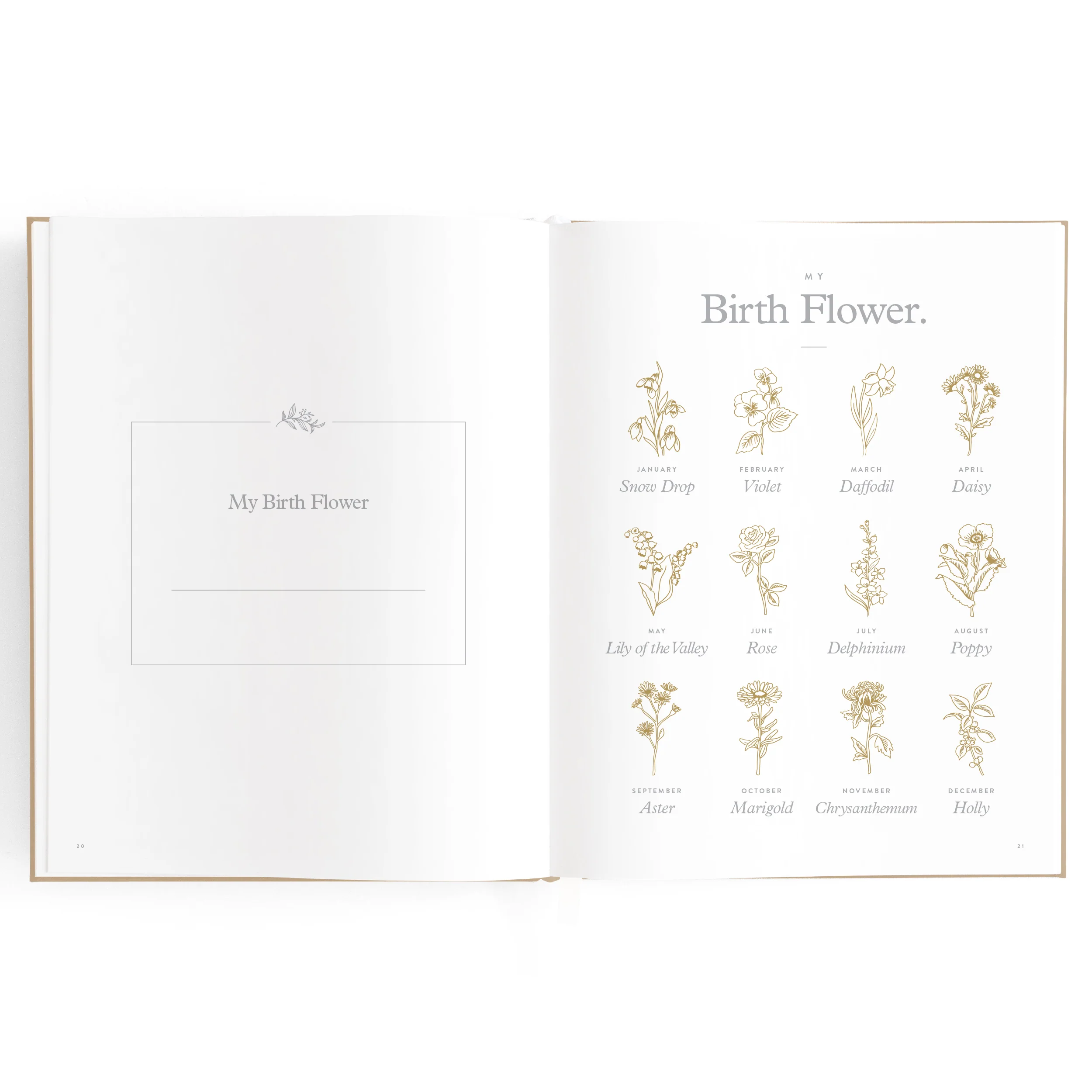 Baby Book - Biscuit (Boxed) - Image 17