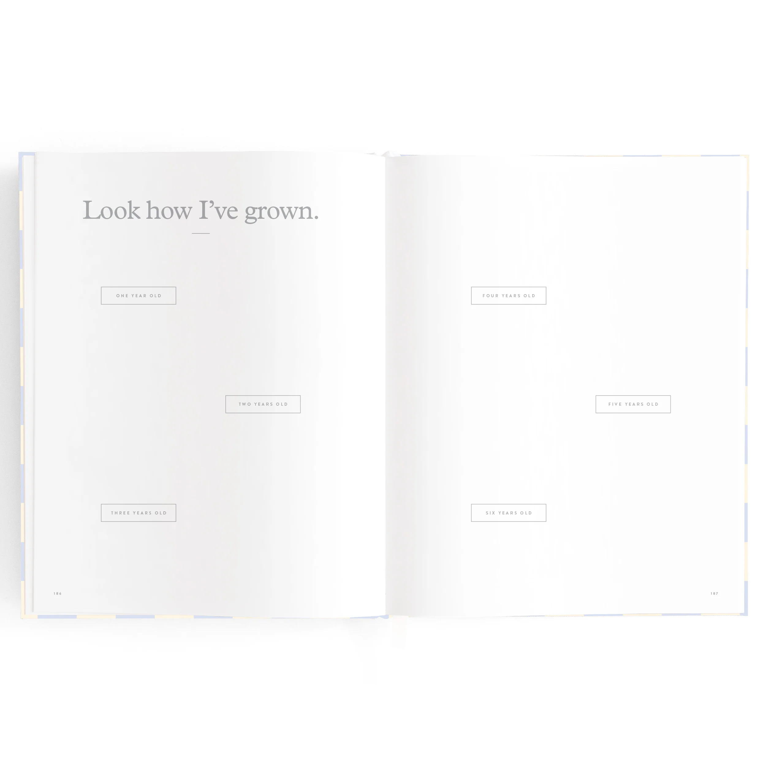 Baby Book - Blue Check - Image 29