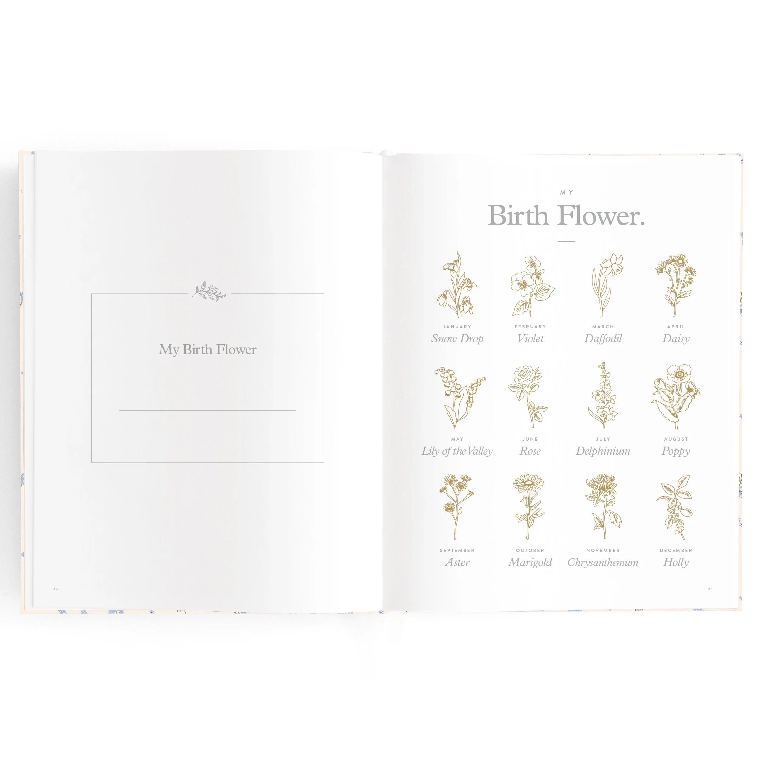 Baby Book - Forget Me Not - Image 12