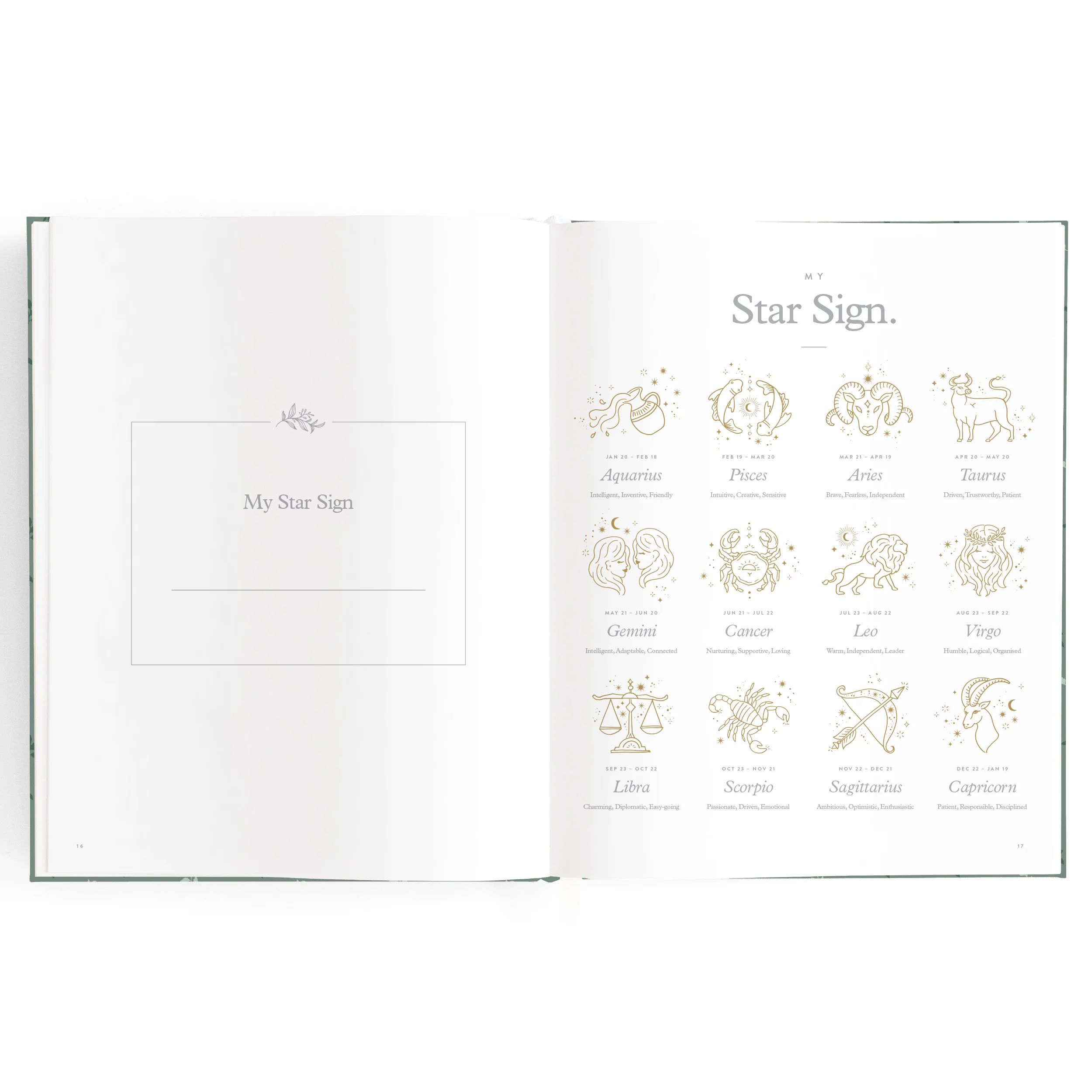Baby Book - Pine - Image 10