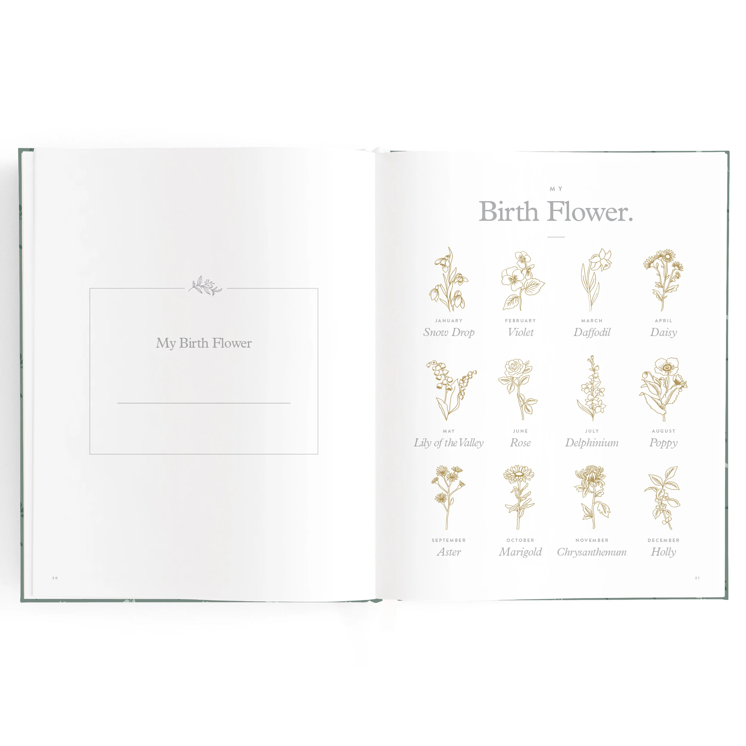 Baby Book - Pine - Image 12