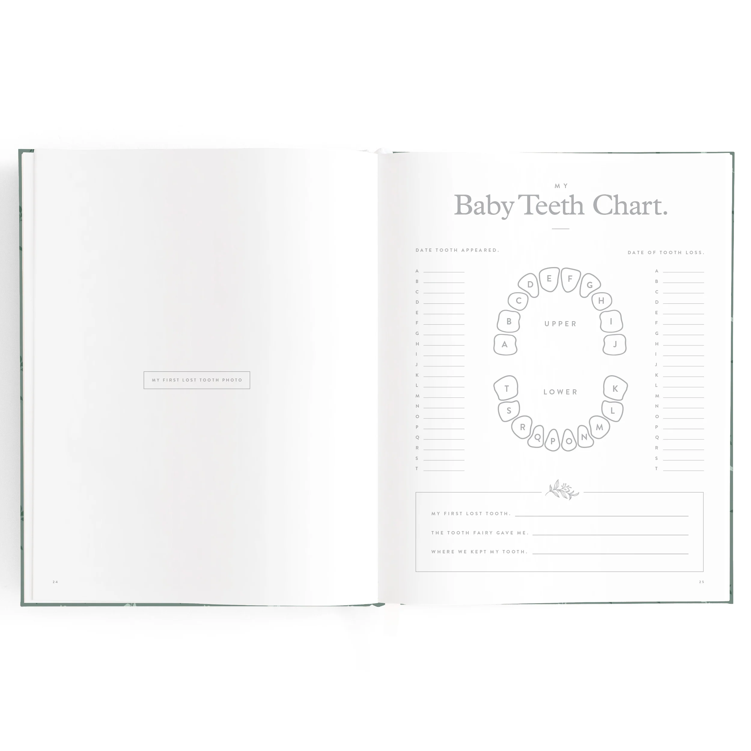 Baby Book - Pine - Image 13