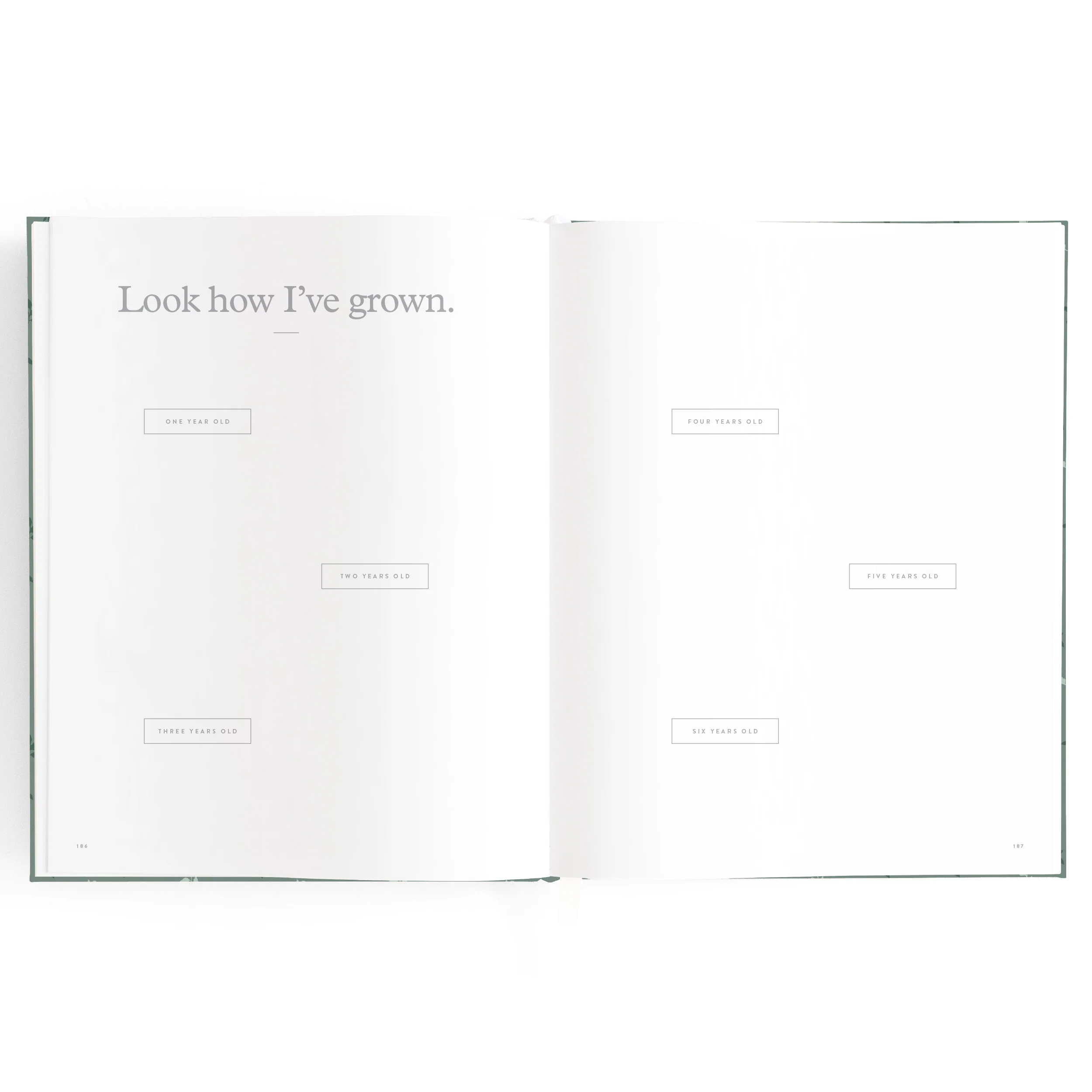 Baby Book - Pine - Image 29