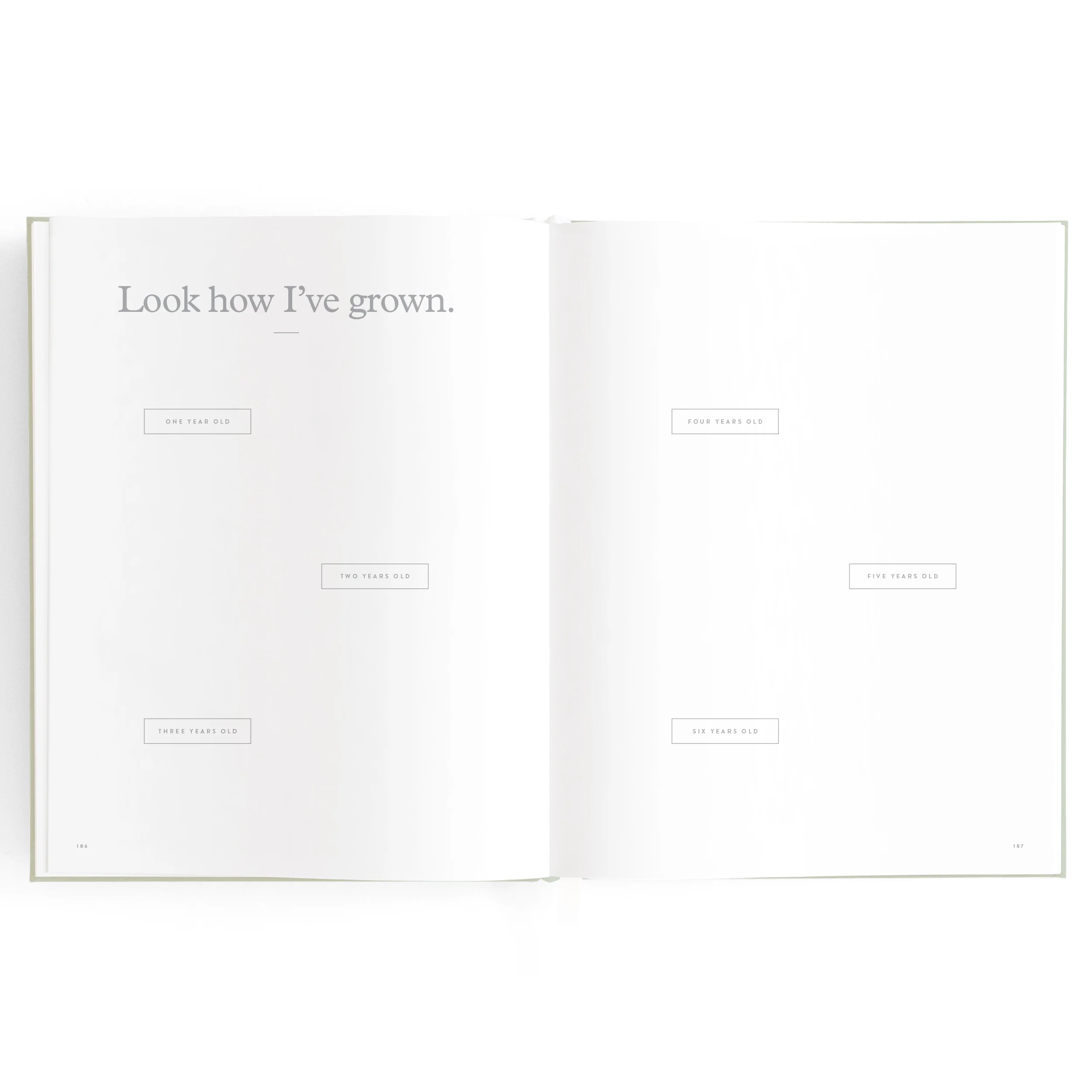 Baby Book - Pistachio - Image 29