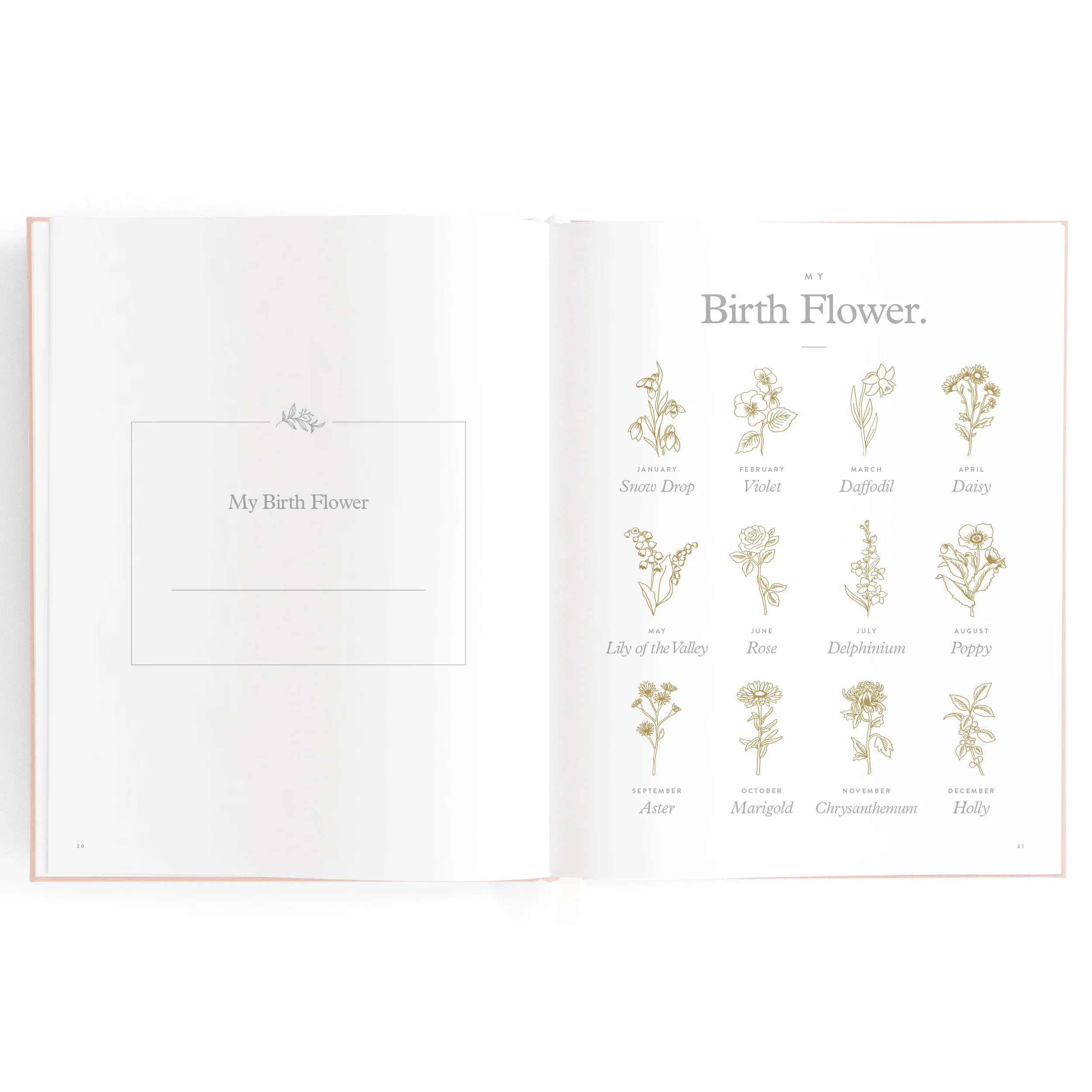 Baby Book - Rose (Boxed) - Image 18