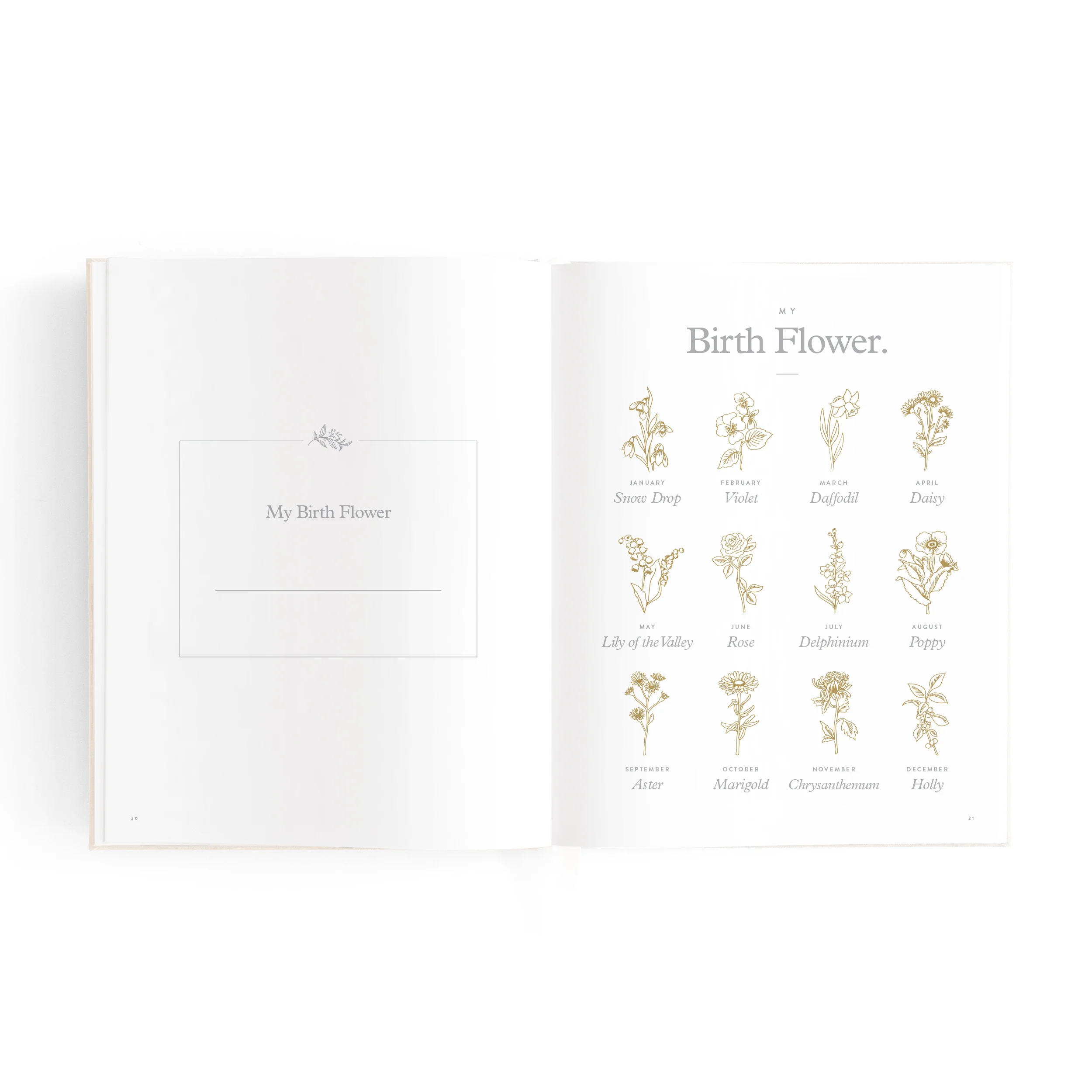 Mini Baby Book - Oatmeal - Image 13