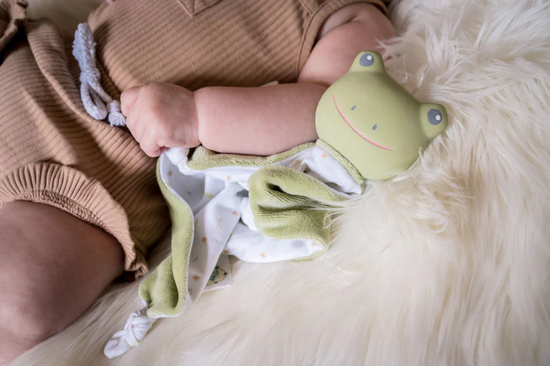 Gemba Frog Comforter/Teether - Image 2