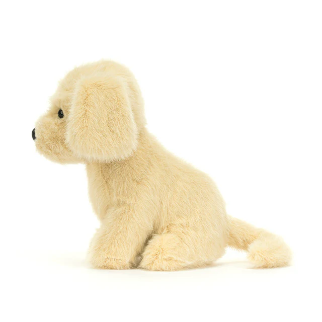 Golden Puppy - Image 3