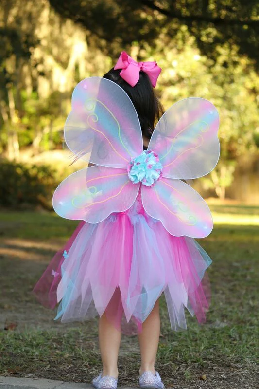 Pink Butterfly Dress & Wings with Wand Size 5-6 - Image 2