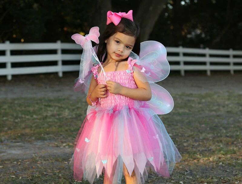 Pink Butterfly Dress & Wings with Wand Size 5-6 - Image 4