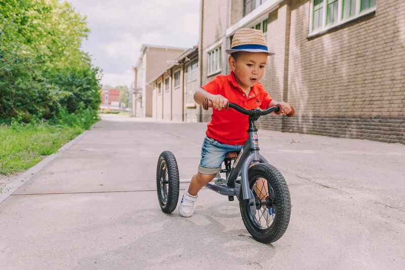 Vintage Trybike - Grey - Image 3