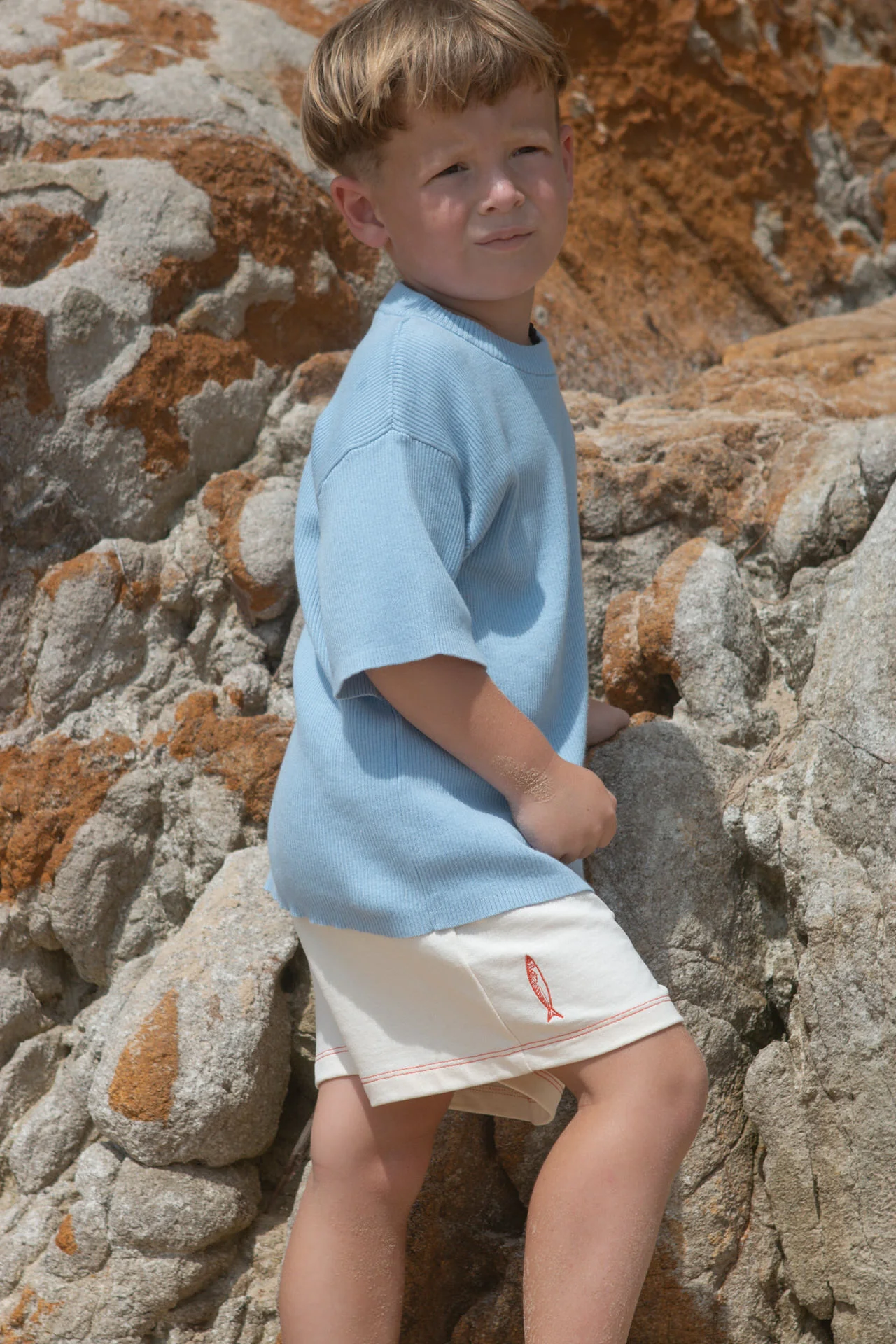 Organic French Terry Sardine Short - Milk - Image 5
