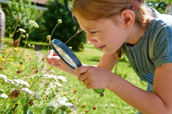 Terra Kids Magnifiying Glass - Image 2