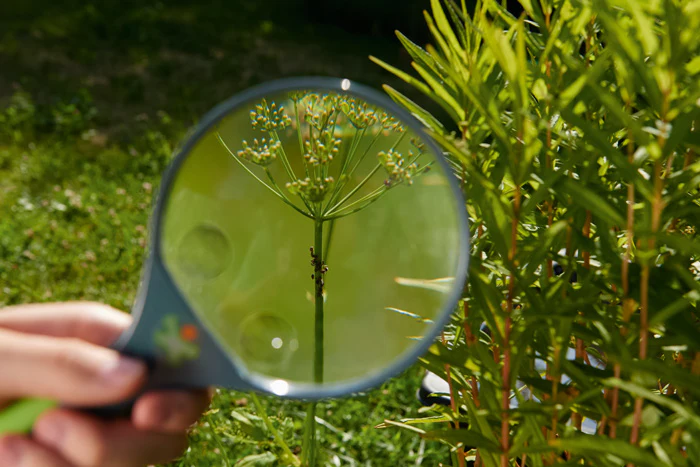 Terra Kids Magnifiying Glass - Image 3
