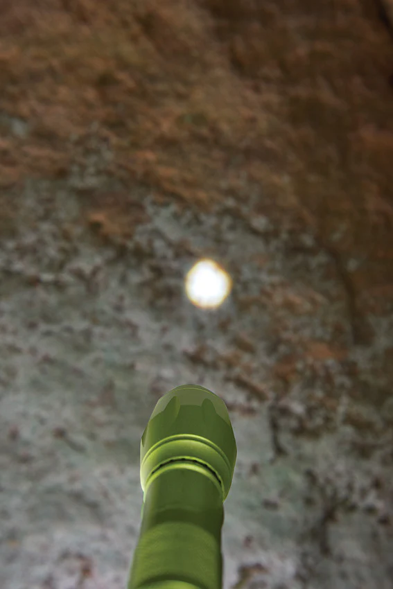 Terra Kids Torch - Image 3
