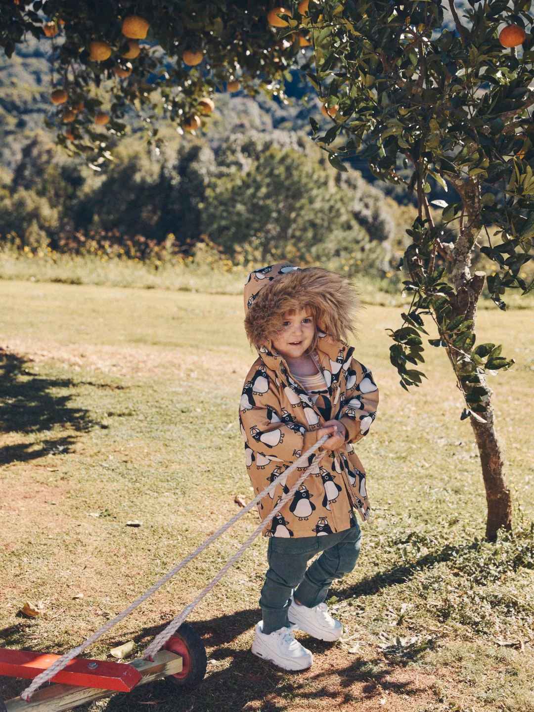 Huxbaby AW22 Drop 1 Cool Penguin Parka - Amber - Image 7
