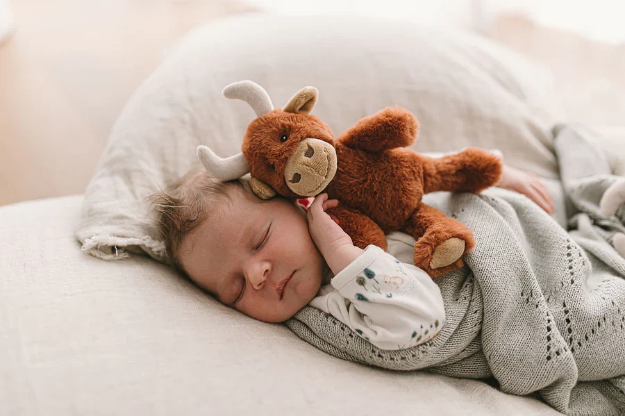 Henry the Highland Cow Rattle - Image 2