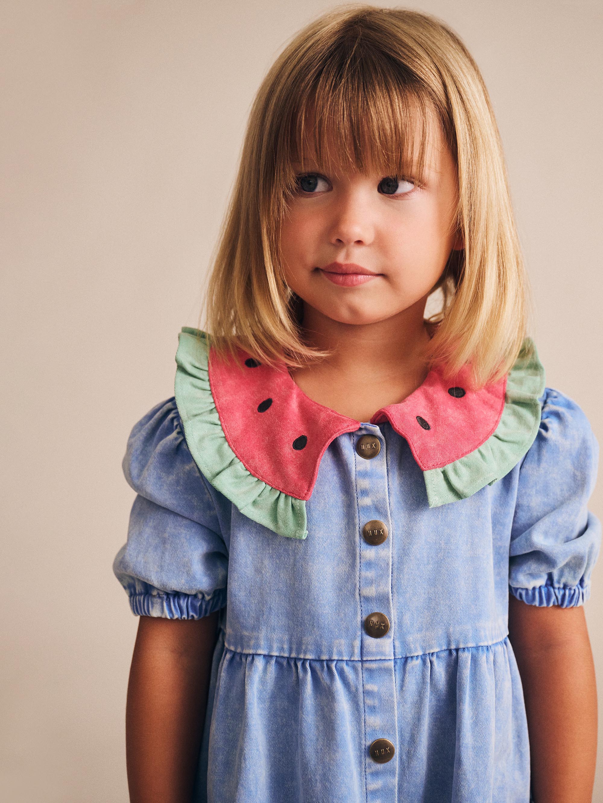I Carried a Watermelon Denim Dress - Image 3